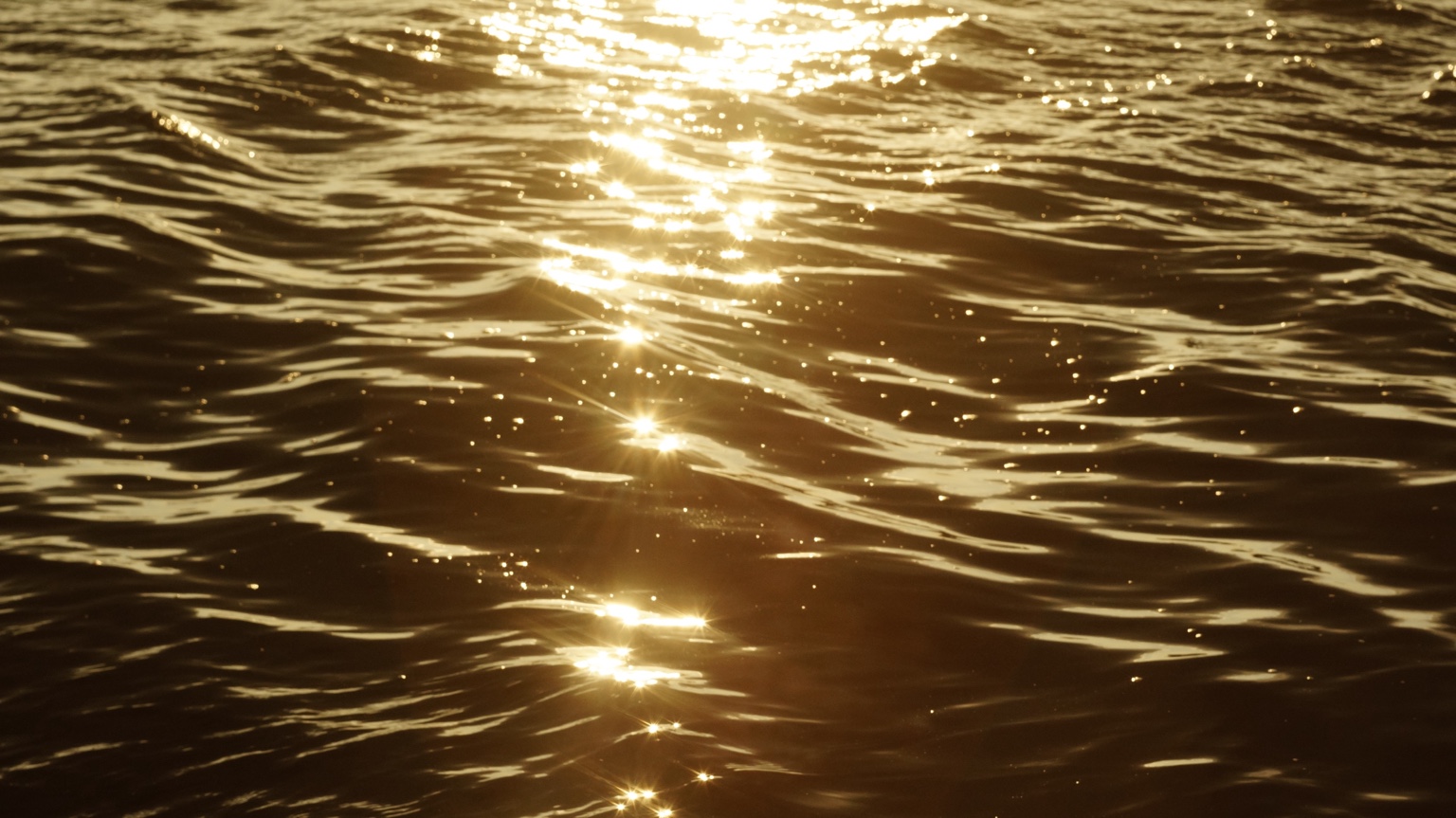 Солнечные блики на воде